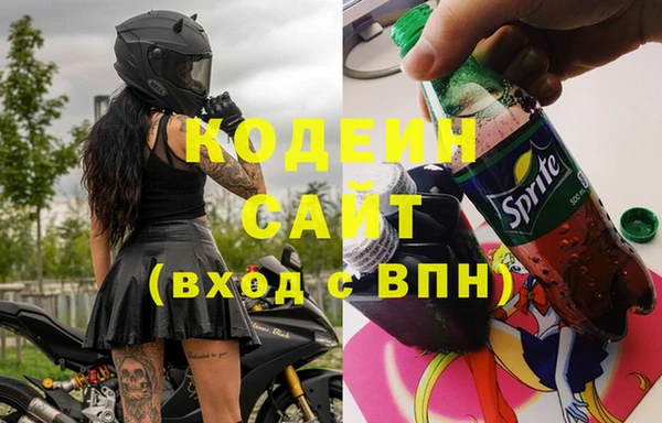 гидра Вяземский