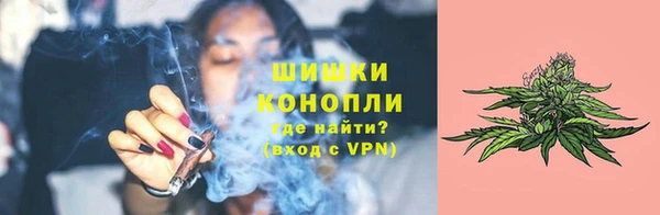 гидра Вяземский