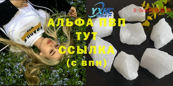гидра Вяземский