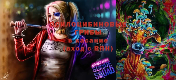 гидра Вяземский