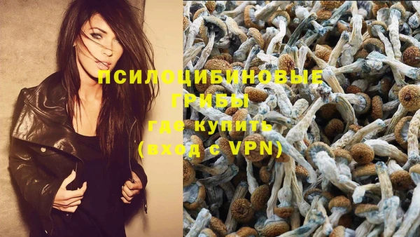 гидра Вяземский