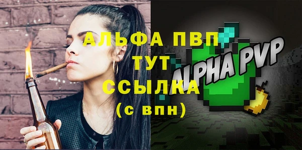 гидра Вяземский
