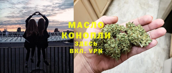 гидра Вяземский